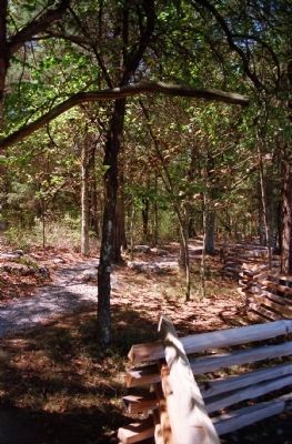 Trail to the Cotton Field image. Click for full size.