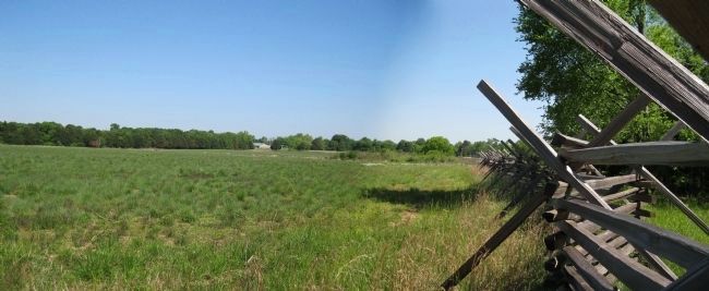 The Cotton Field and Fence Line. Click for full size. The Cotton Field and Fence Line image. Click for full size.