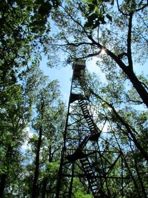 Stairs Leading to Top of Fire Tower. Click for full size. Stairs Leading to Top of Fire Tower image. Click for full size.