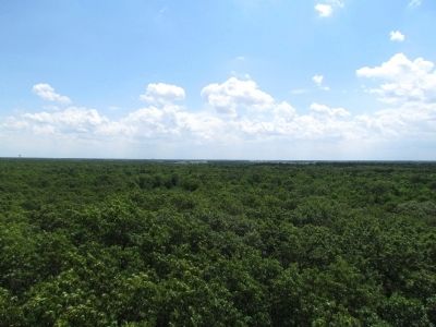 View from Top of Fire Tower image. Click for full size.