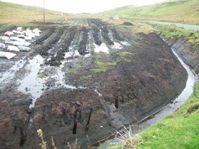 Cut Peat Drying in Bogland image. Click for full size.