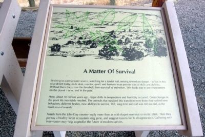 A Matter of Survival Marker image. Click for full size.