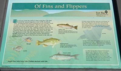 Of Fins and Flippers Marker image. Click for full size.
