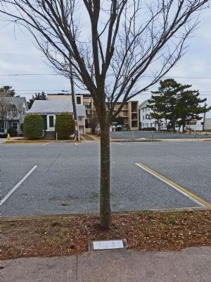 Nearby Tree Dedicated to Esther 'Sis' Fasnacht. Click for full size. Nearby Tree Dedicated to Esther 'Sis' Fasnacht image. Click for full size.
