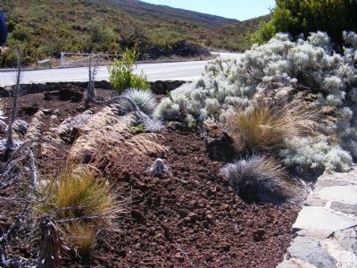 Headquarters Visitor Center Garden. Click for full size. Headquarters Visitor Center Garden image. Click for full size.