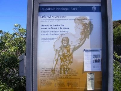 Leleiwi "Flying Bone"-marker at beginning of trail image. Click for full size.