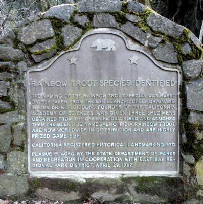 Rainbow Trout Species Identified Marker. Click for full size. Rainbow Trout Species Identified Marker image. Click for full size.