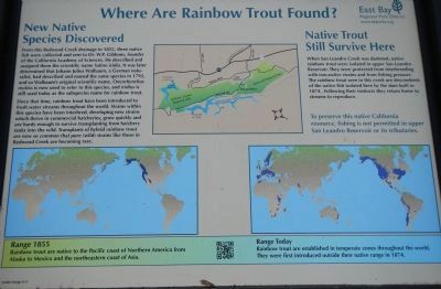Where are Rainbow Trout Found? image. Click for full size.