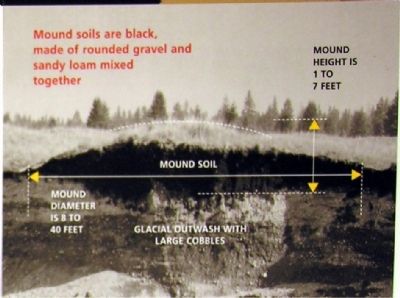 A Mima Mound. Click for full size. A Mima Mound image. Click for full size.