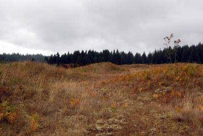 Mima Mounds image. Click for full size.