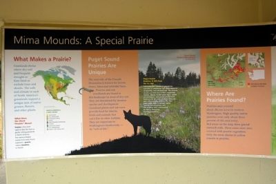 Mima Mounds: A Special Prairie Marker image. Click for full size.