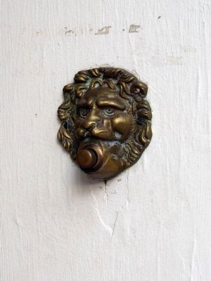 Lion Doorbell image. Click for full size.