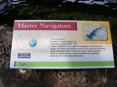 Master Navigators Marker image. Click for full size.