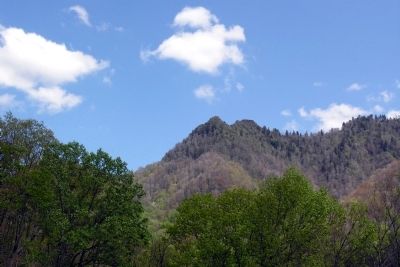 Chimney Tops. Click for full size. Chimney Tops image. Click for full size.
