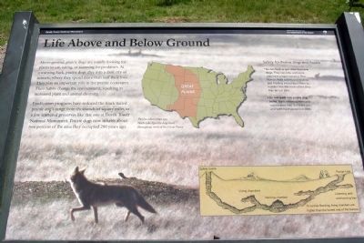 Life Above and Below Ground Marker. Click for full size. Life Above and Below Ground Marker image. Click for full size.
