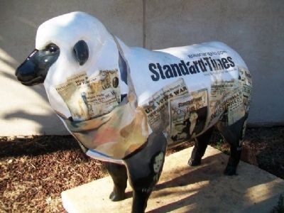 San Angelo Standard-Times Sheep image. Click for full size.