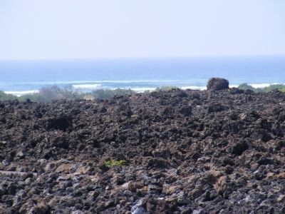 A Sanctuary for Humpback Whales. Click for full size. A Sanctuary for Humpback Whales image. Click for full size.