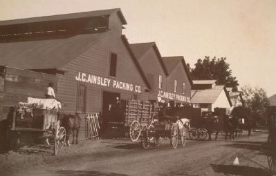 J.C. Ainsley Packing Company. Click for full size. J.C. Ainsley Packing Company image. Click for full size.