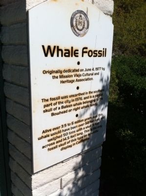 Whale Fossil Marker image. Click for full size.