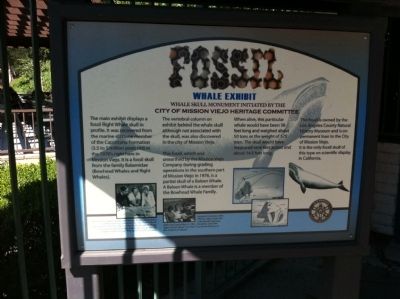 Fossil Marker image. Click for full size.