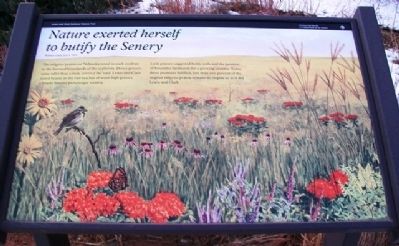 <i>Nature exerted herself to butify the Senery</i> Marker. Click for full size. <i>Nature exerted herself to butify the Senery</i> Marker image. Click for full size.