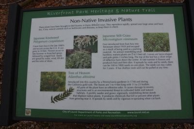 Non-Native Invasive Plants. Click for full size. Non-Native Invasive Plants image. Click for full size.
