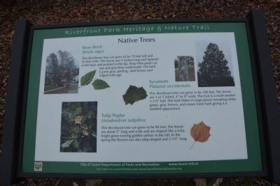 Native Trees. Click for full size. Native Trees image. Click for full size.