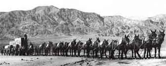 The Twenty-Mule Team Wagon Train. Click for full size. The Twenty-Mule Team Wagon Train image. Click for full size.