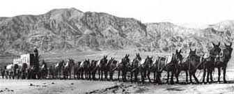 The Twenty-Mule Team Wagon Train image. Click for full size.