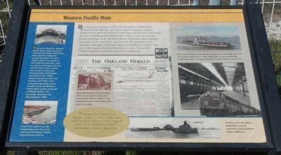 Western Pacific Mole Marker image. Click for full size.