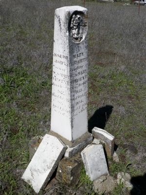 The Vincent Family Marker. Click for full size. The Vincent Family Marker image. Click for full size.