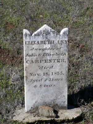 Elizabeth Ann Carpenter. Click for full size. Elizabeth Ann Carpenter image. Click for full size.
