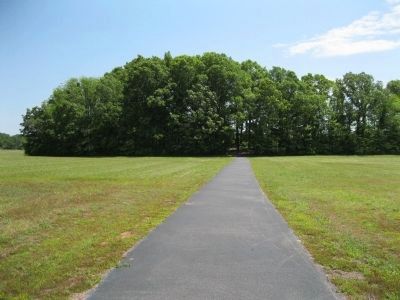 The North Loop Trail. Click for full size. The North Loop Trail image. Click for full size.