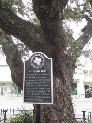 Fleming Oak and Marker image. Click for full size.