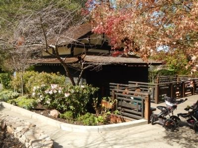 The Japanese Teahouse. Click for full size. The Japanese Teahouse image. Click for full size.