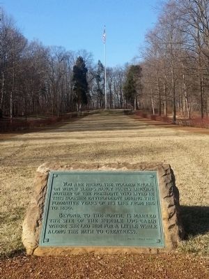 The Allee Marker image. Click for full size.