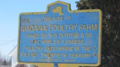 The Site Of Niagara Poultry Farm Marker image. Click for full size.