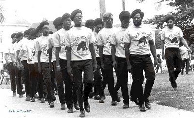 The Black Panther Party image. Click for full size.