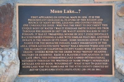 Mono Lake...? image. Click for full size.