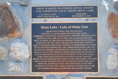 Mono Lake Markers image. Click for full size.