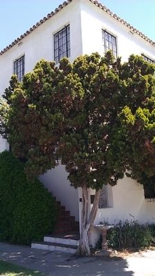 The Esser House image. Click for full size.