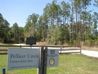 Pellicer Creek Conservation Area image. Click for full size.