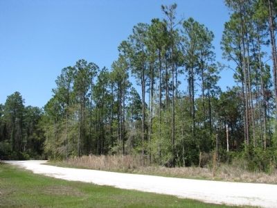 Pellicer Creek Conservation Area (<i>looking north from marker</i>) image. Click for full size.