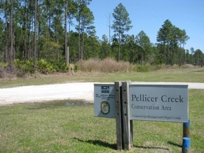 Pellicer Creek Conservation Area (<i>looking south from marker</i>) image. Click for full size.