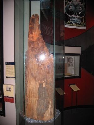 Spotsylvania Tree Stump. Click for full size. Spotsylvania Tree Stump image. Click for full size.
