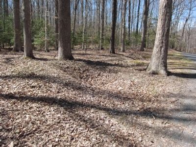 Remains of earthworks near the marker image. Click for full size.