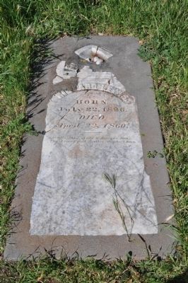 Richard Lewis Grave image. Click for full size.
