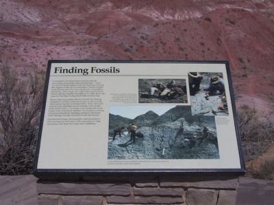 Finding Fossils Marker image. Click for full size.