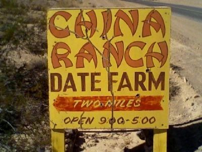 China Ranch Date Farm image. Click for full size.