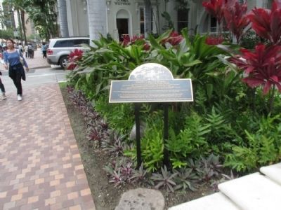 The First Lady of Waikiki Marker. Click for full size. The First Lady of Waikiki Marker image. Click for full size.